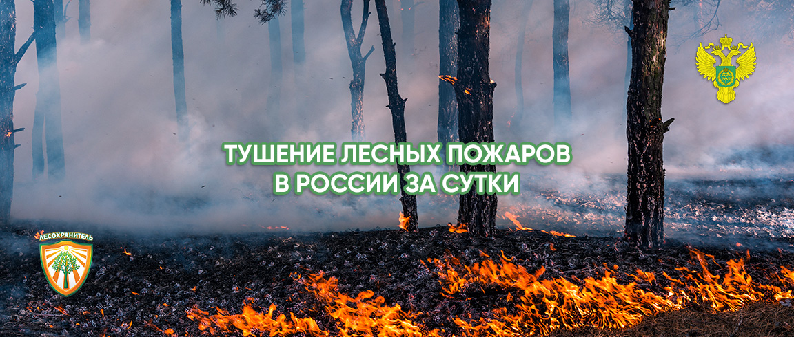 Тушение лесных пожаров в России за прошедшие сутки