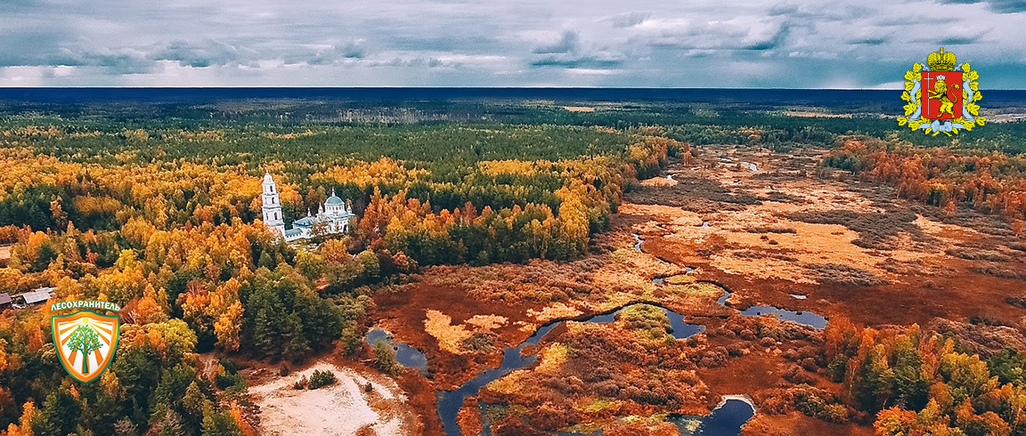 Владимирская область: улучшились показатели в борьбе с лесными пожарами
