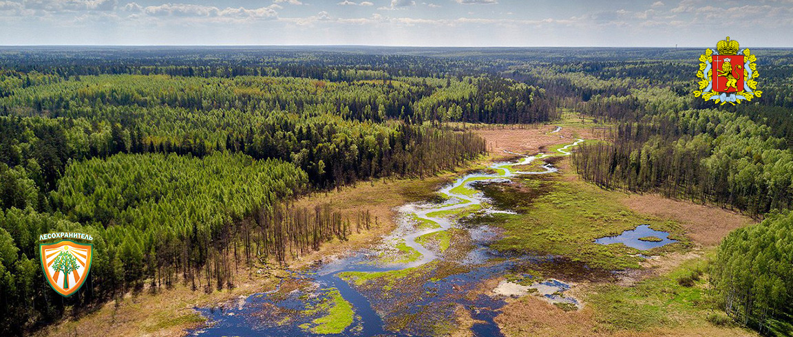 Во Владимирской области объявлен пожароопасный сезон