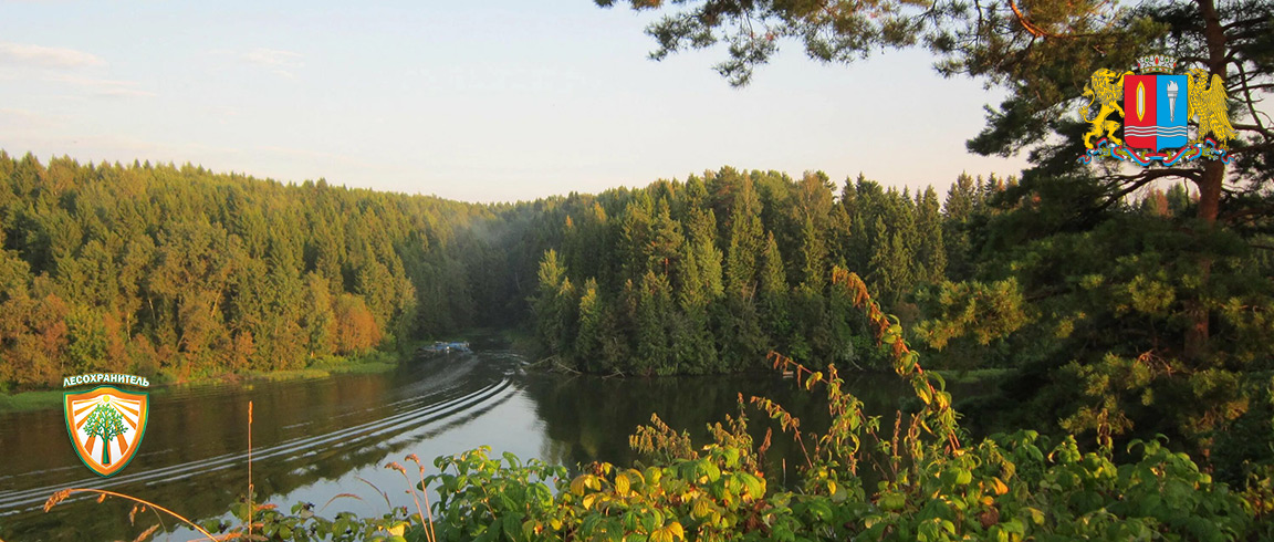 Лесохранитель помог защитить леса Ивановской области