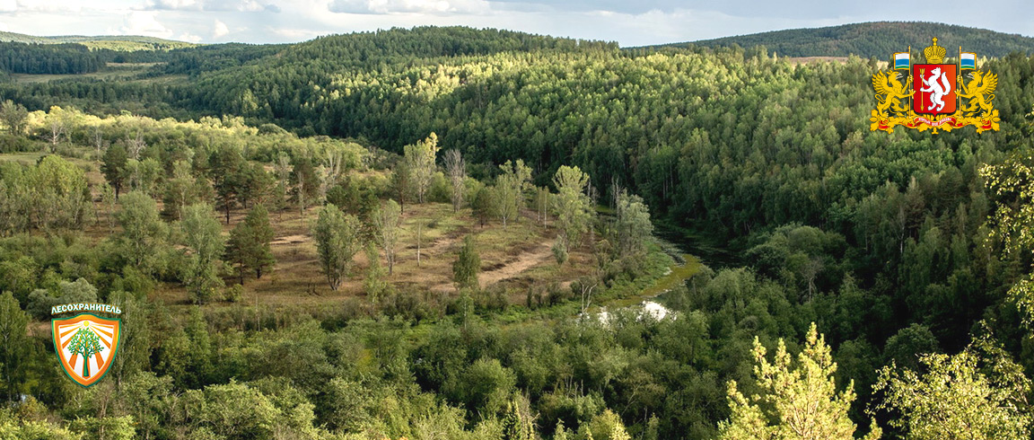 В Екатеринбурге укрепляют противопожарную защиту городских лесов