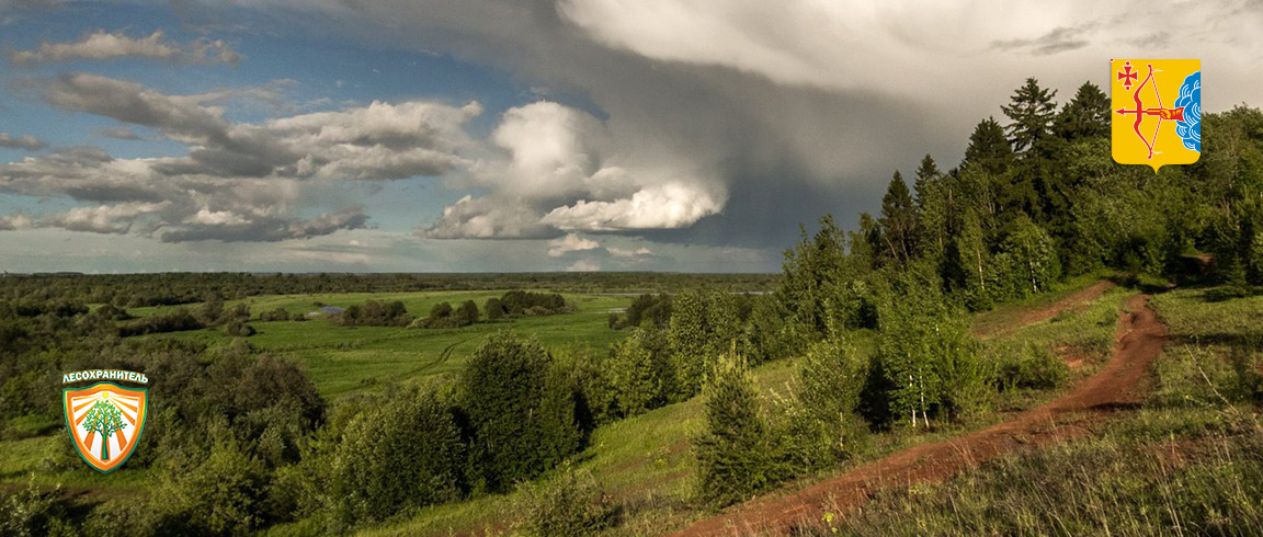 Лесной мониторинг: пожаров в Кировской области втрое меньше