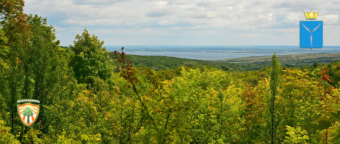 Пожароопасный сезон в Саратовской области прошёл успешно