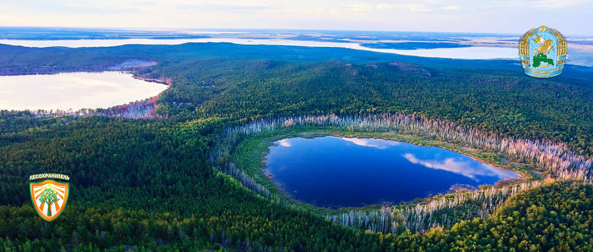 «Лесохранитель» помогает предотвращать пожары в лесах СКО