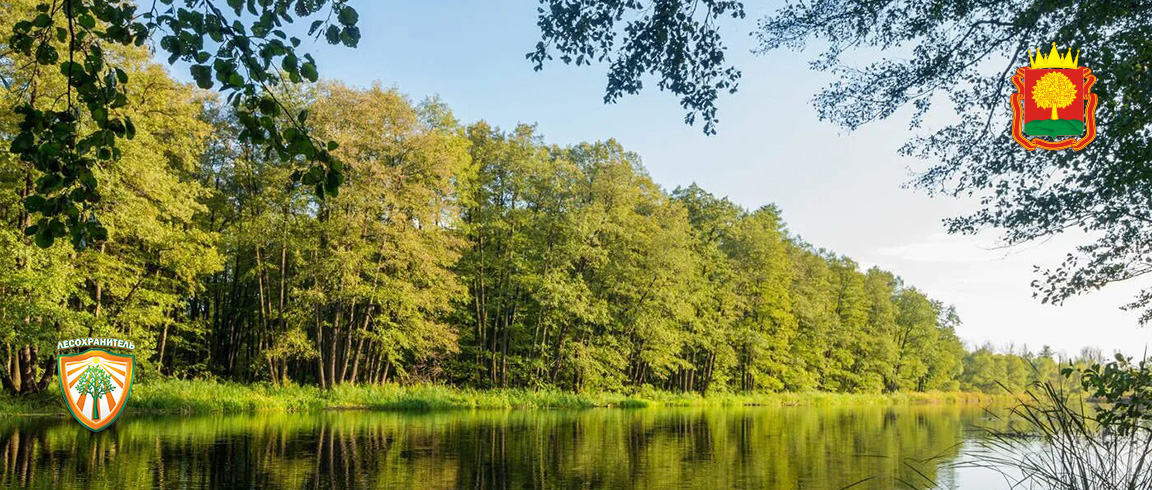 Цифровизация экономики Липецкой области: итоги 2025 года