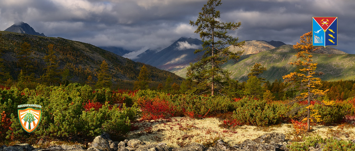 Магаданская область подготовилась к пожароопасному сезону