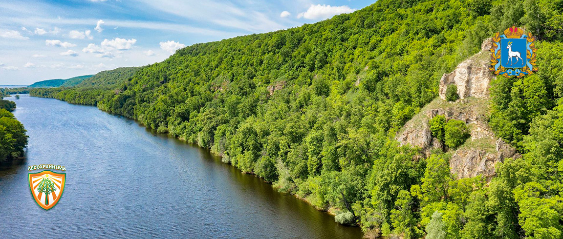 В Самарской области расширят видеонаблюдение лесфонда